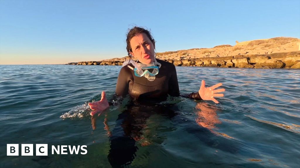 Você pode não alterar coral? A BBC visita o Remote Reef para descobrir